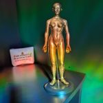 Acupuncture model bathed in rainbow light.