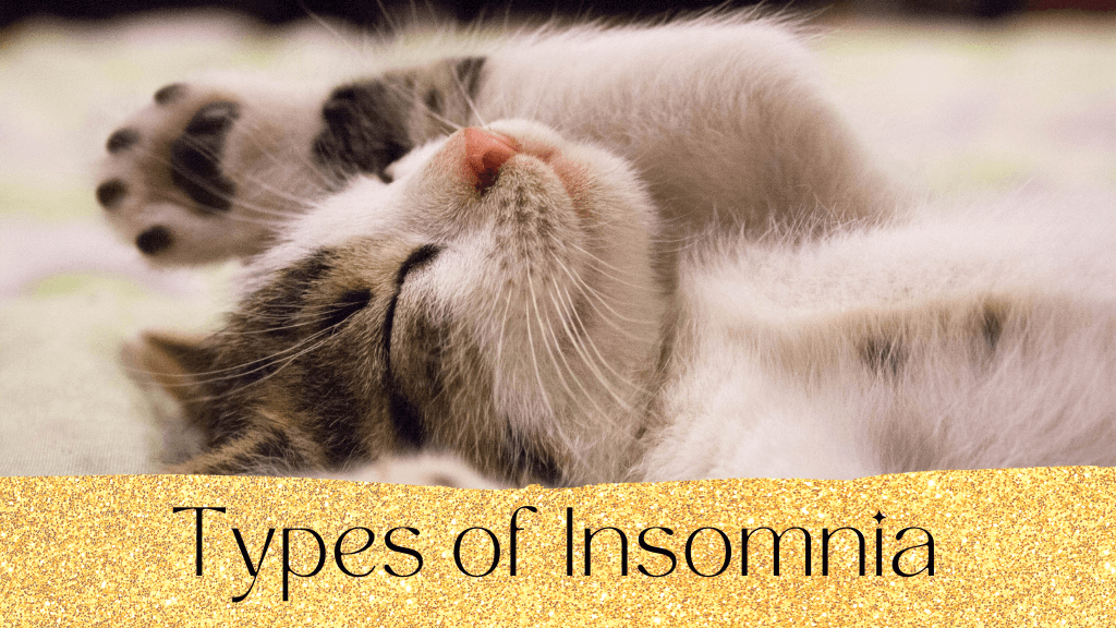 A sleeping kitten symbolizing the peaceful sleep that can be achieved through TCM and acupuncture for insomnia